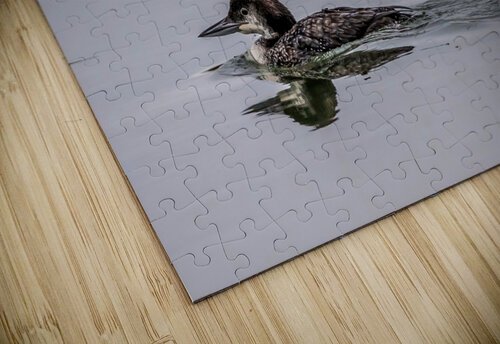 Simplicity MLeBlanc puzzle