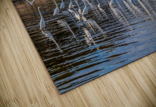 For The Birds MLeBlanc puzzle
