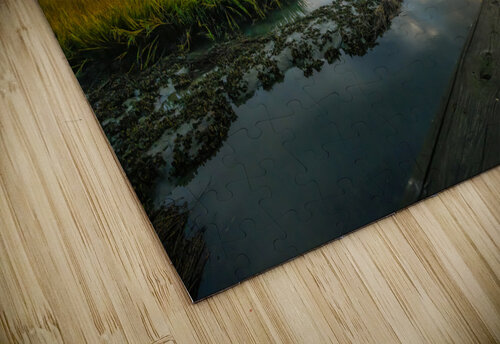 New Day MLeBlanc puzzle