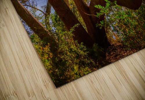 See Thru MLeBlanc puzzle