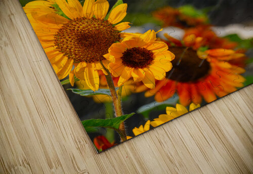 Rain Drops MLeBlanc puzzle