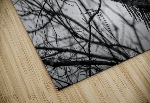 Black N White MLeBlanc puzzle