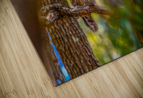 In The Light MLeBlanc puzzle