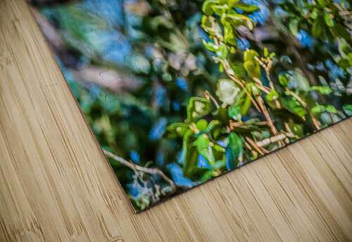 Free Fall MLeBlanc puzzle