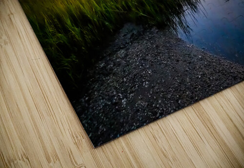 Between The Grass MLeBlanc puzzle
