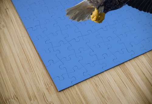 Bald Eagle MLeBlanc puzzle
