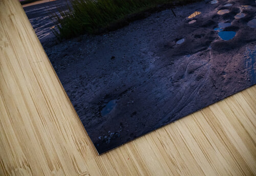 Marsh Land MLeBlanc puzzle