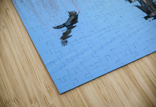 Take Off MLeBlanc puzzle