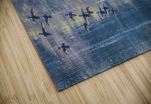 Reflections MLeBlanc puzzle