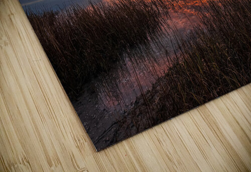 New Day MLeBlanc puzzle