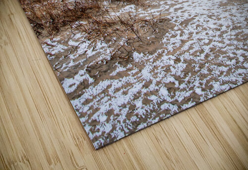 Beach Snow MLeBlanc puzzle