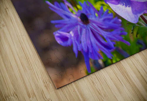 spring MLeBlanc puzzle