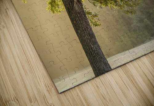 Sunlight MLeBlanc puzzle