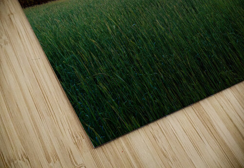 The Barn MLeBlanc puzzle
