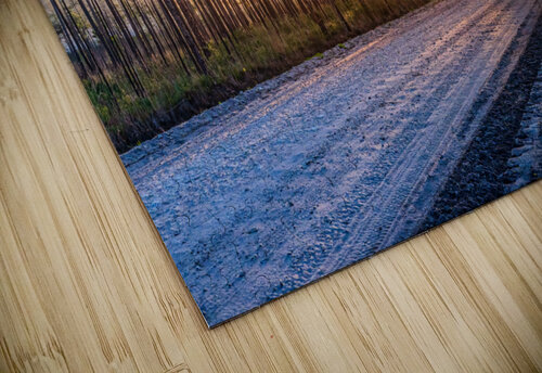 The Haze MLeBlanc puzzle
