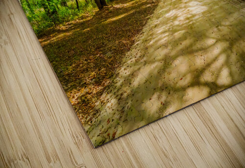 Back Roads MLeBlanc puzzle