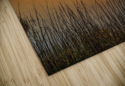 Morning Glow MLeBlanc puzzle