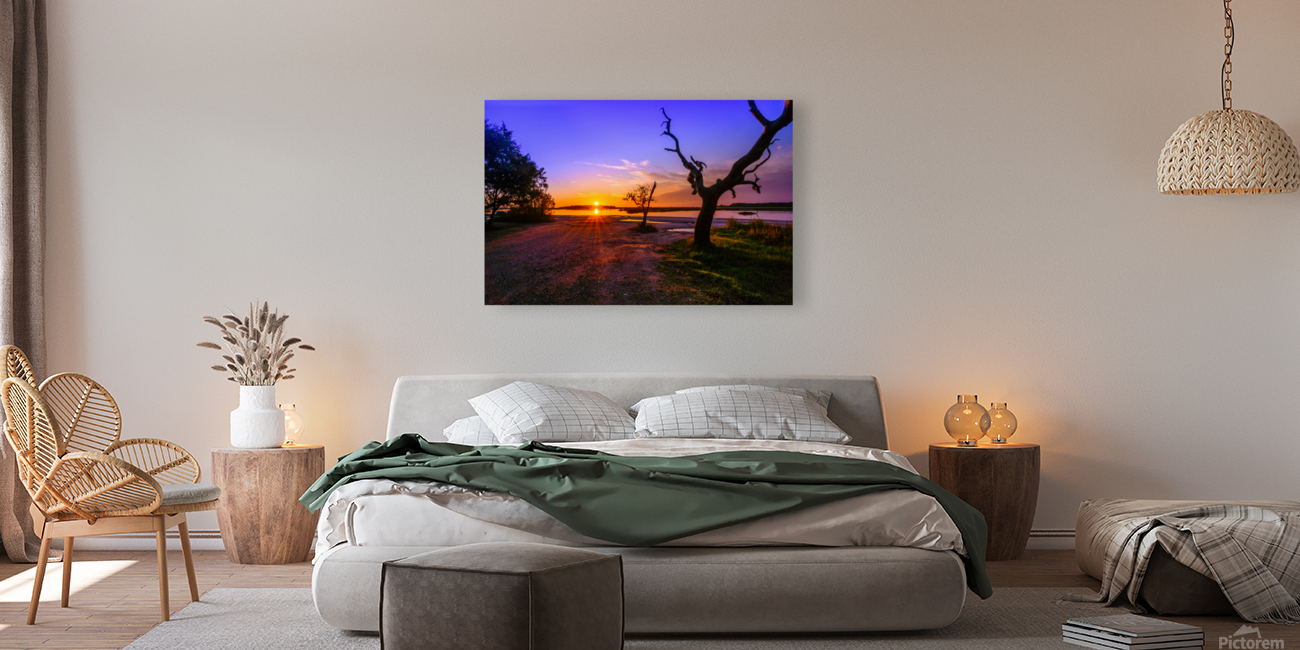 Purple Rise Reproduction