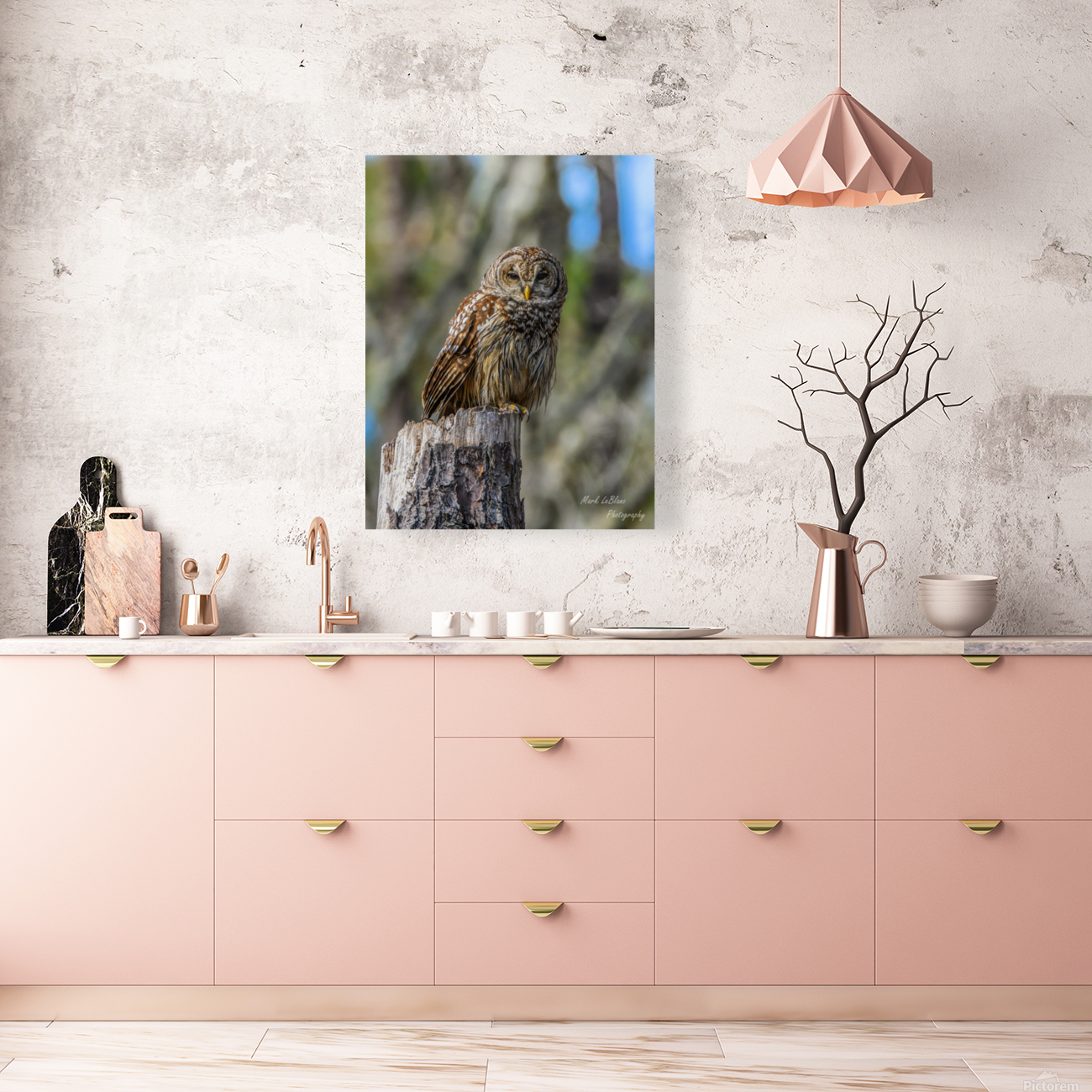 Owl Reproduction