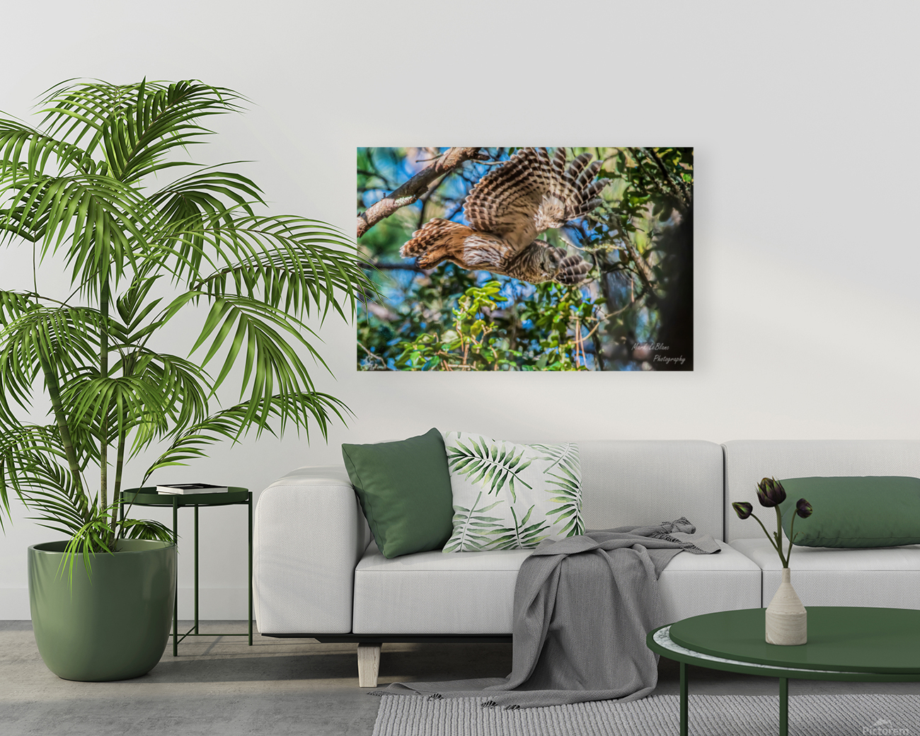 Free Fall Reproduction