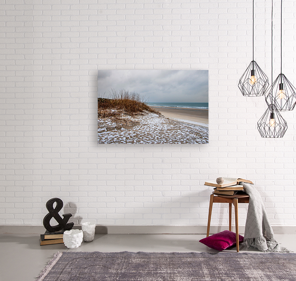 Beach Snow Reproduction