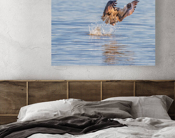 Gone Fishing Reproduction
