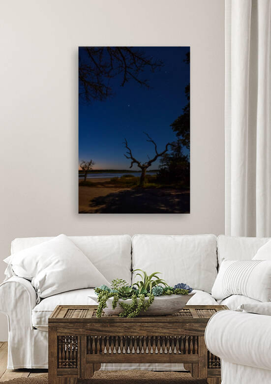 Moonlight Reproduction