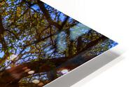 See Thru HD Metal print
