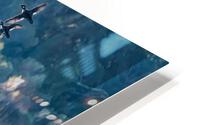 Reflections HD Metal print