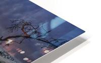 Roots HD Metal print