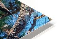 The Jump HD Metal print