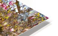 blossoms HD Metal print