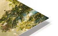 Sunlight HD Metal print