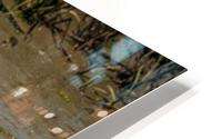 Lunch Time HD Metal print
