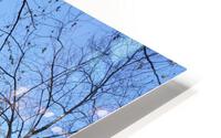 old tyme HD Metal print