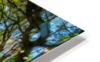 Back Roads HD Metal print