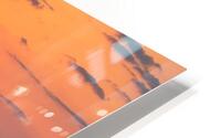 sunglow HD Metal print