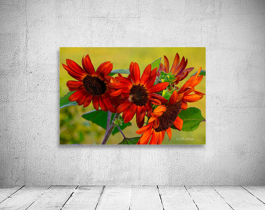 Sunflowers Wall Preview