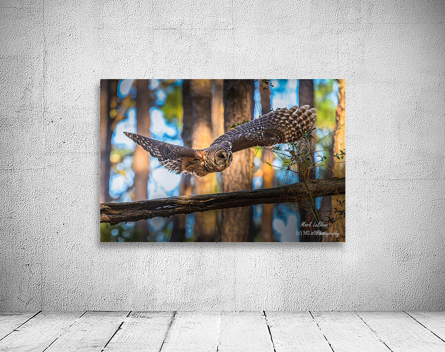 Thru The Woods Wall Preview