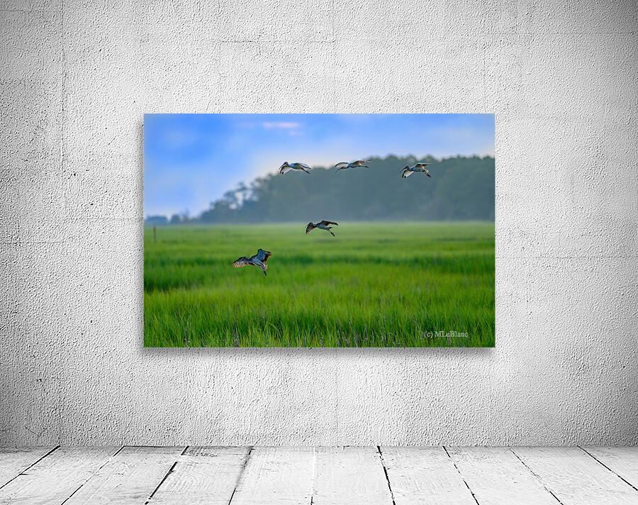 Greener Grass Wall Preview