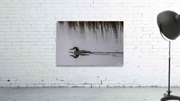 Simplicity Wall Preview