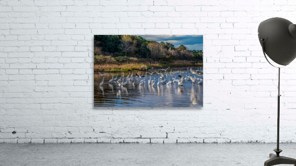 For The Birds Wall Preview