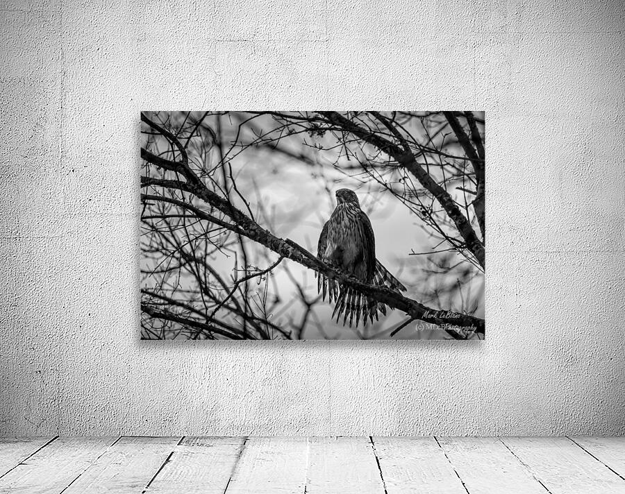Black N White Wall Preview