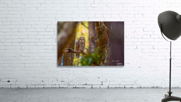 In The Light Wall Preview