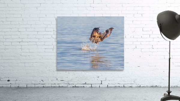 Gone Fishing Wall Preview