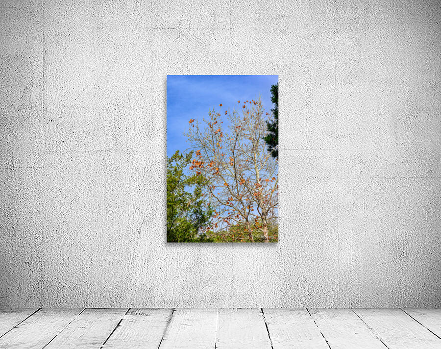 Fall Time Wall Preview