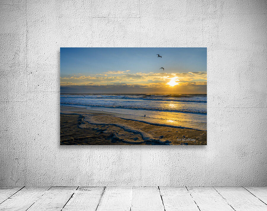 Myrtle Beach Wall Preview