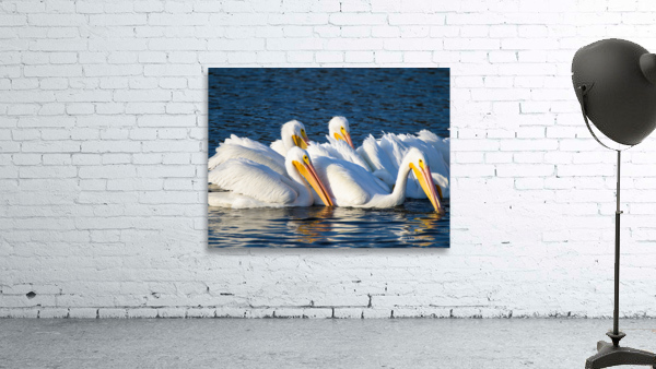 Feeding Time Wall Preview