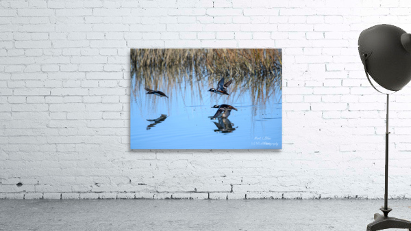 Take Off Wall Preview