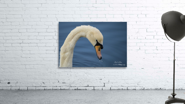 The Look Wall Preview